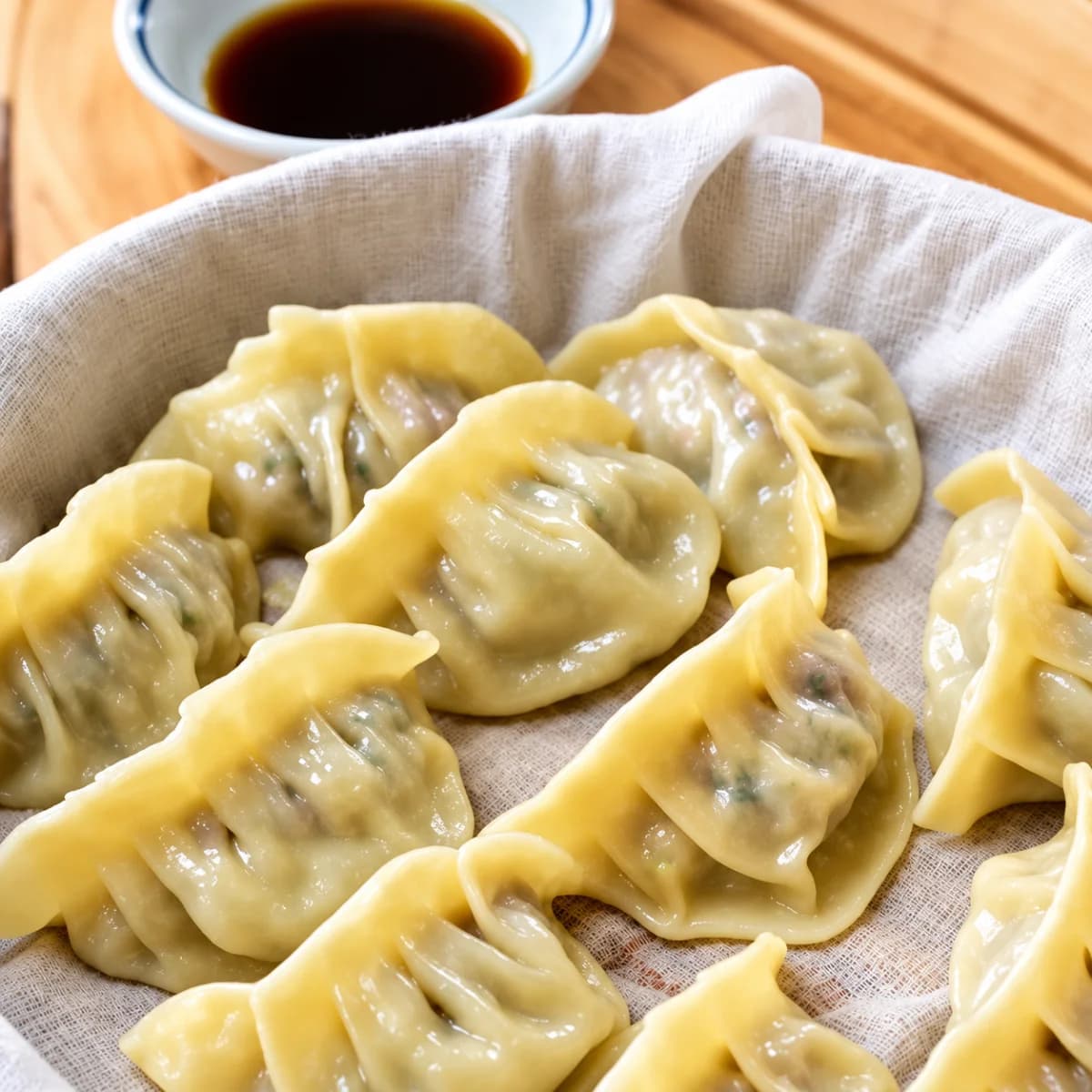 appetizers steamed mandu